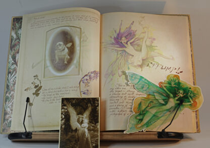 Lady Cottington's Fairy Album