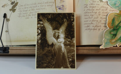 Lady Cottington's Fairy Album