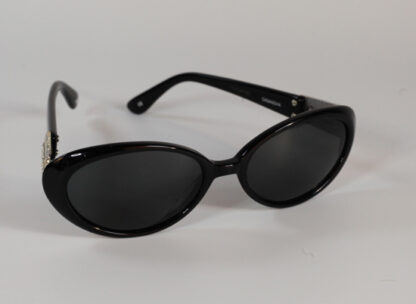 Brighton Black Sunglasses